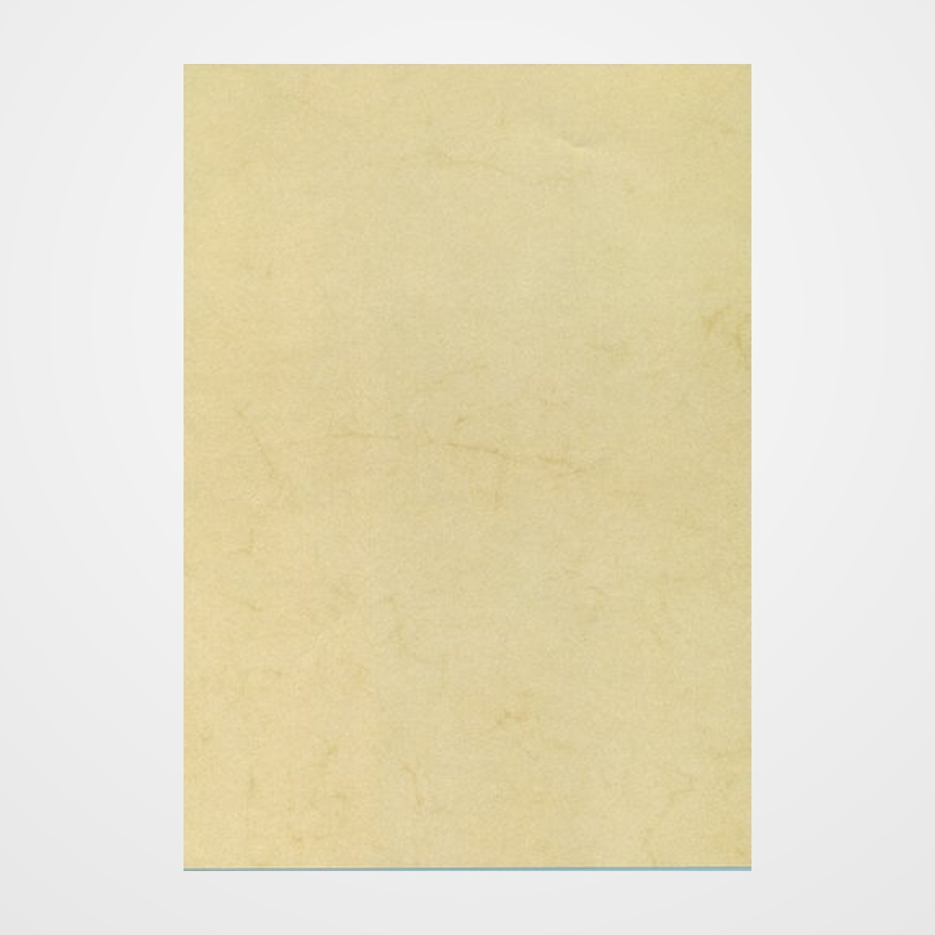 PAPEL HABANA A4 APLI 200g 10h