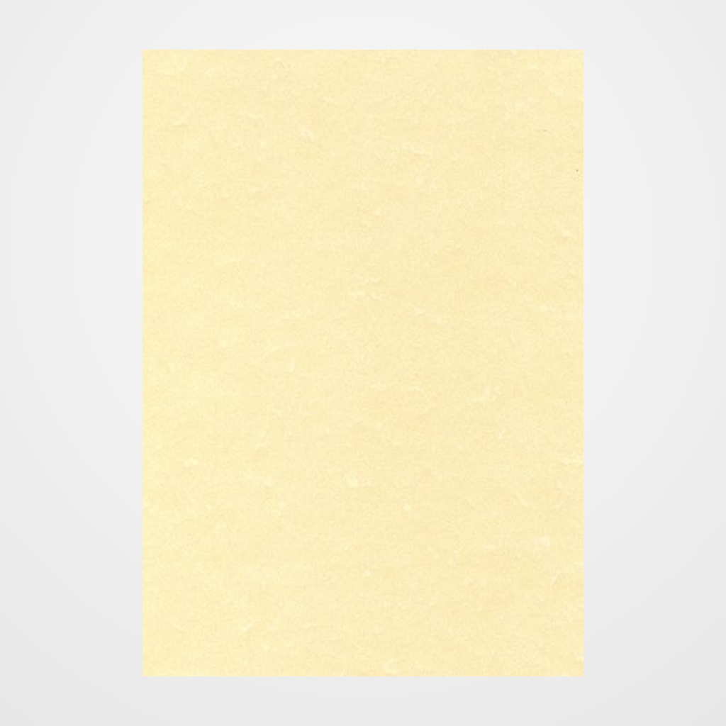 PAPEL PERGAMINO A4 APLI 95g 100h CHAMPAN