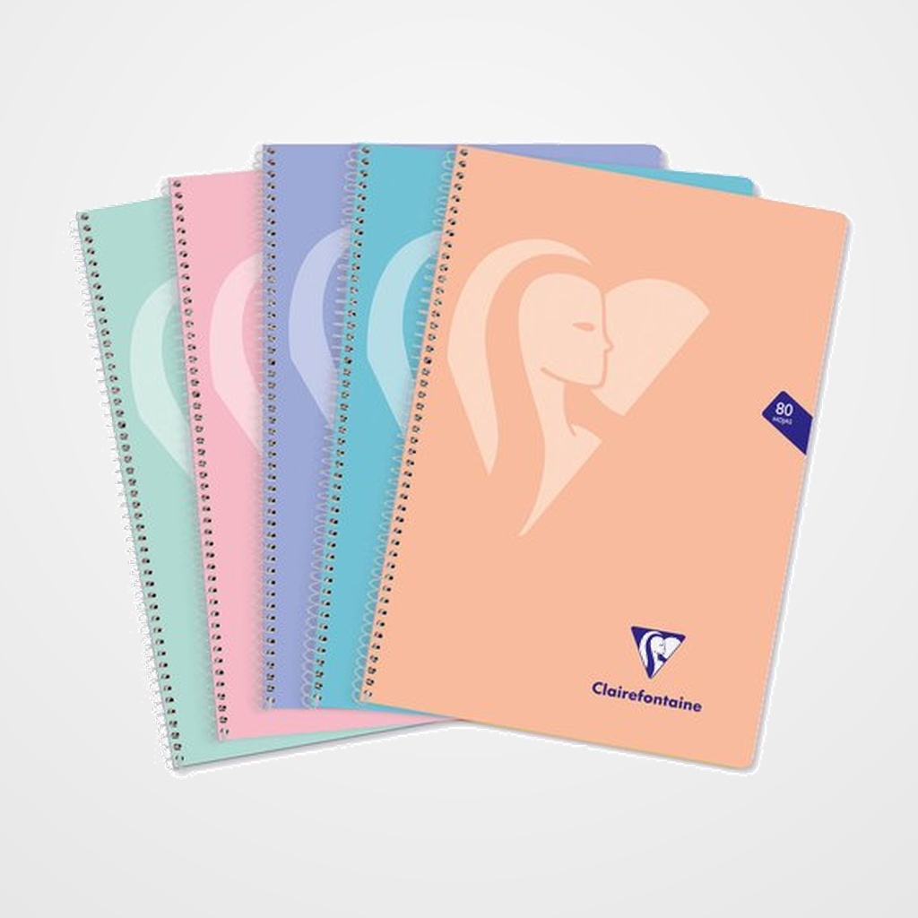BLOC CLAIREFONTAINE MIMESYS Fº 80h 4x4 90g COLORES PASTEL