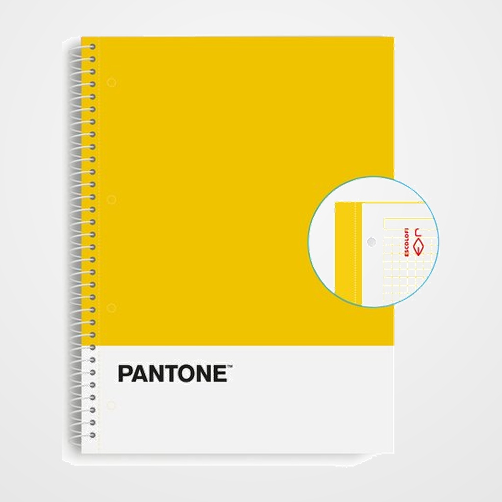 BLOC ESCOLOFI NOTEBOOK PANTONE BASIC A4 80h  CUADRIC.5x5 90g AMARILLO