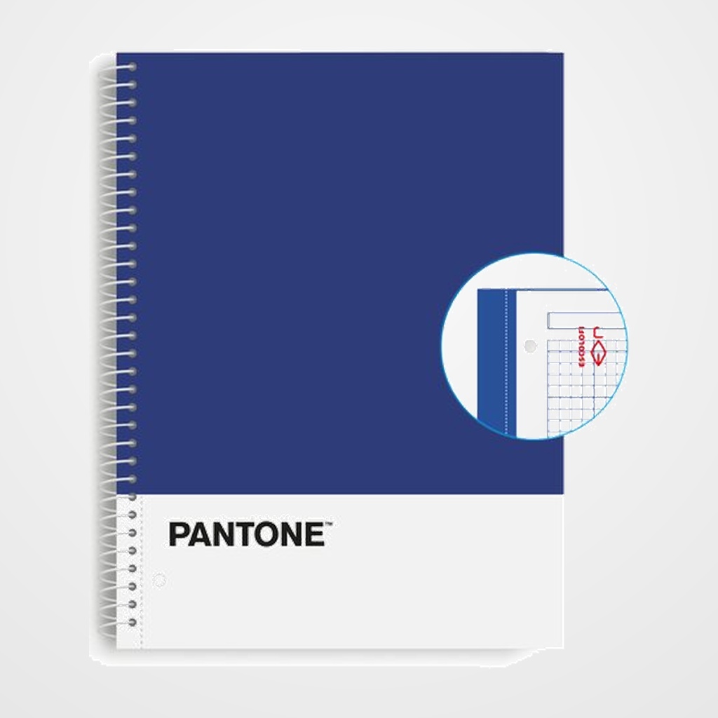 BLOC ESCOLOFI NOTEBOOK PANTONE BASIC A4 80h  CUADRIC.5x5 90g AZUL
