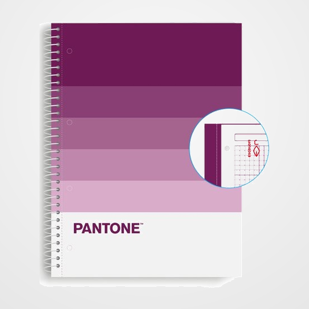 BLOC ESCOLOFI NOTEBOOK PANTONE SPEAKS A4 80h  CUADRIC.5x5 90g FANTASY