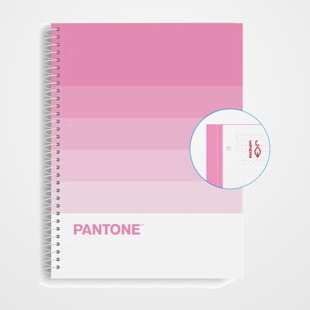 BLOC ESCOLOFI NOTEBOOK PANTONE SPEAKS A4 80h  CUADRIC.5x5 90g SWEET