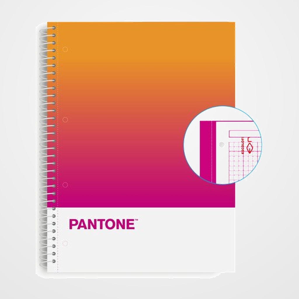 BLOC ESCOLOFI NOTEBOOK PANTONE TOGETHER A4 80h  CUADRIC.5x5 90g CREATIVITY