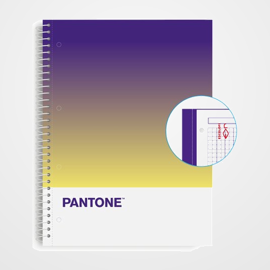 BLOC ESCOLOFI NOTEBOOK PANTONE TOGETHER A4 80h  CUADRIC.5x5 90g TIME
