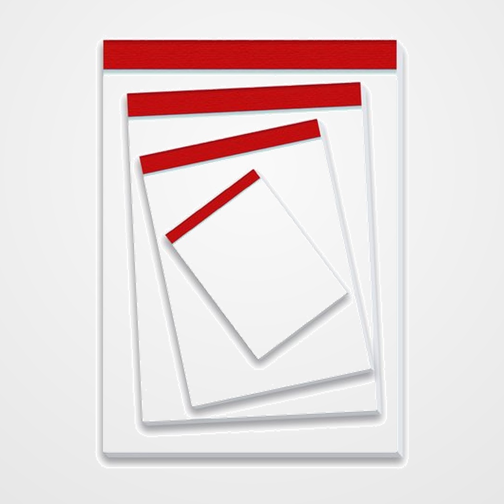 BLOC DE NOTAS PACSA Fº 80h LISO