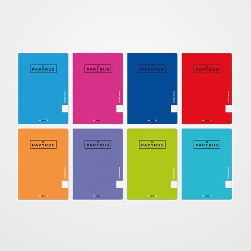 LIBRETA PAPYRUS A5+ 48h 90g PP HORIZONTAL COL.SUR.