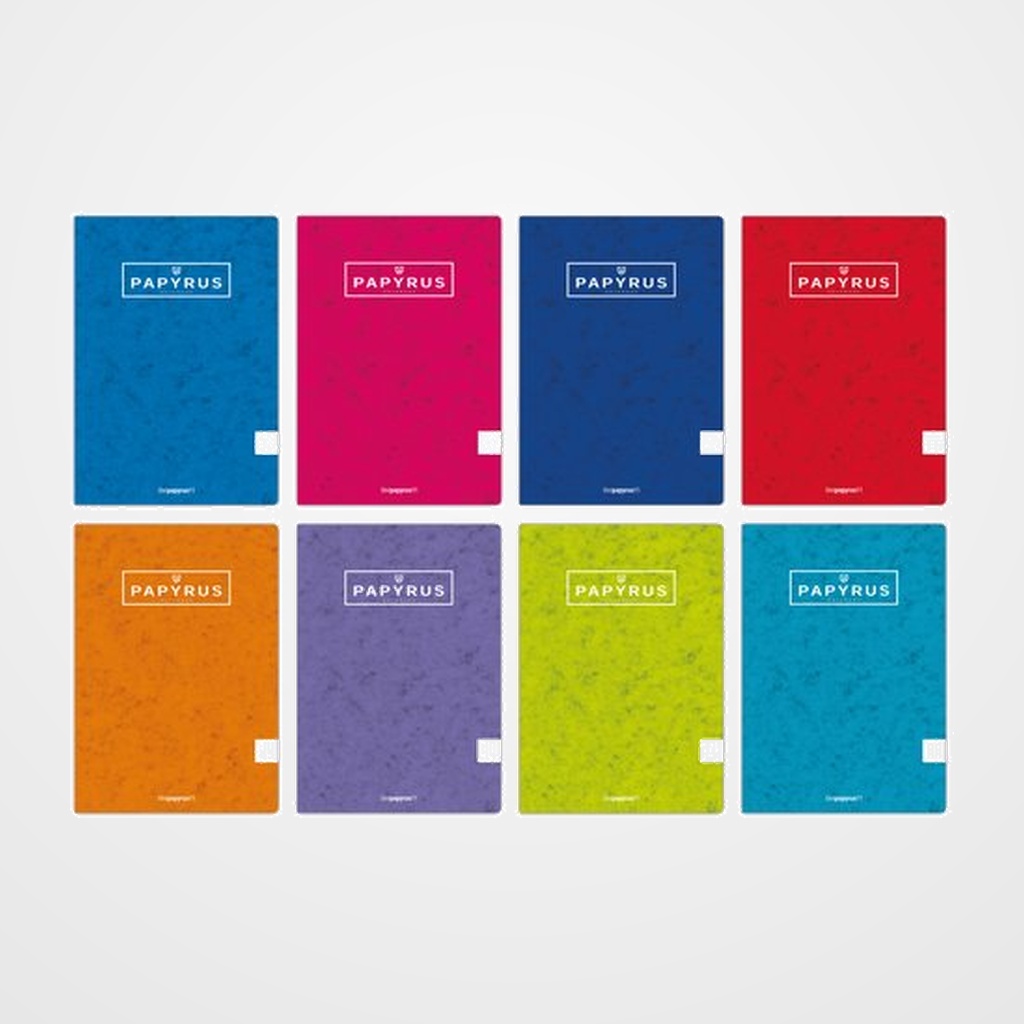 LIBRETA PAPYRUS A5+ 48h 90g t.BLANDA CUADRIC.4x4 COL.SUR.