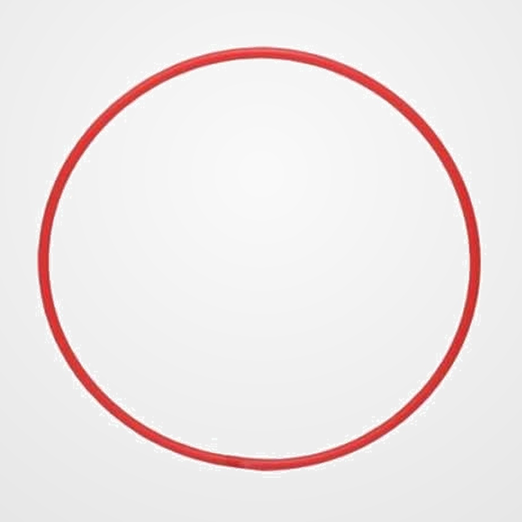 [55701096] ARO DE GIMNASIA RITMICA ADULTO