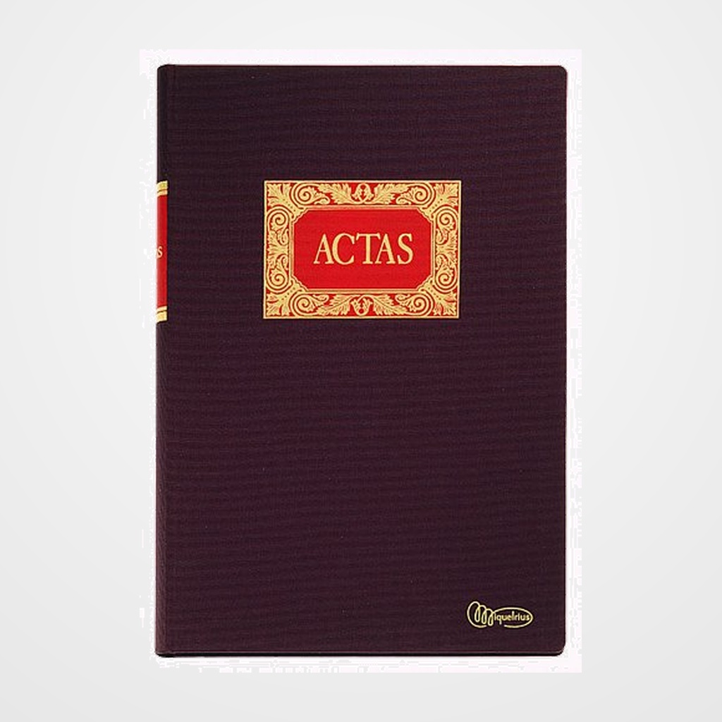LIBRO CONTABILIDAD Fº 100 HOJAS ACTAS