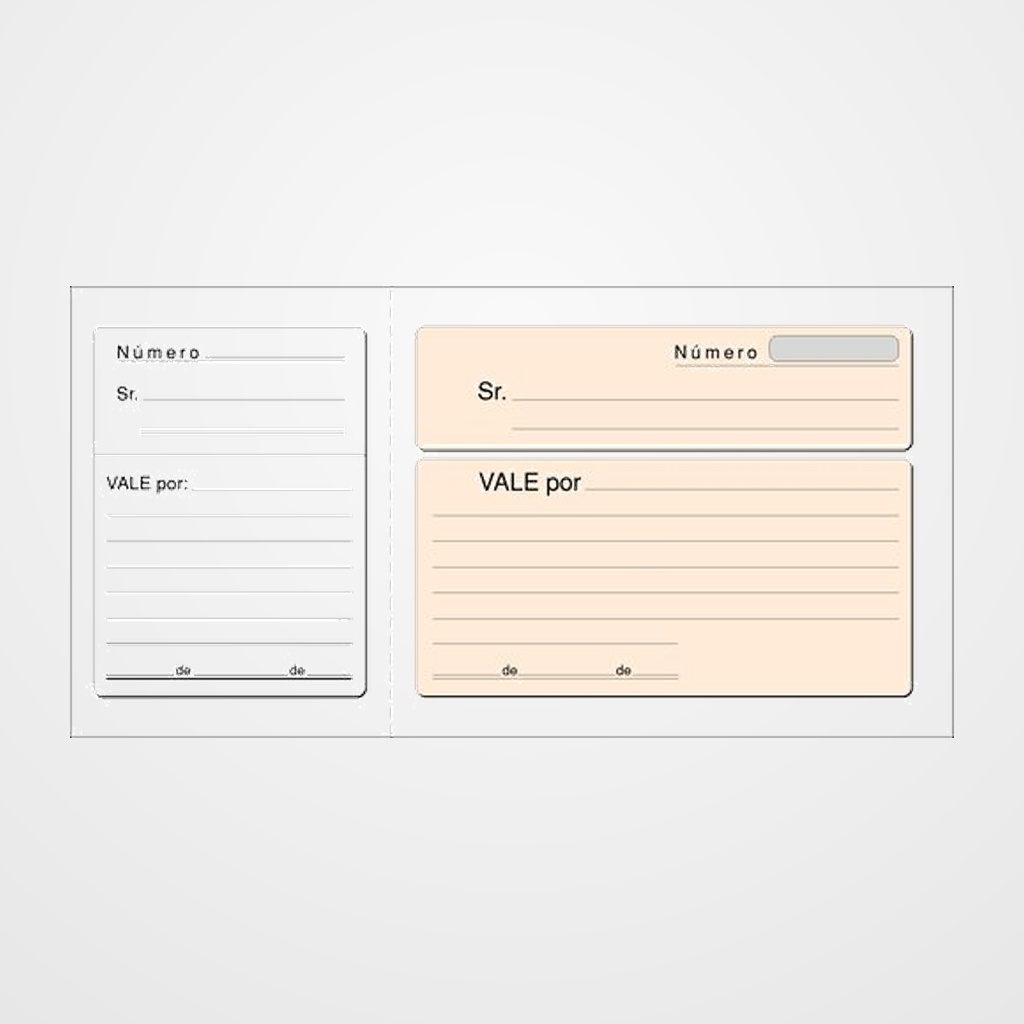 TALONARIO VALES LOAN