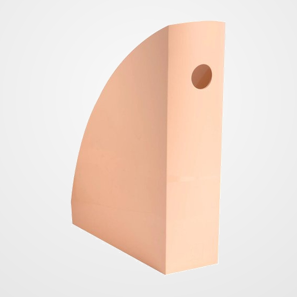 REVISTERO PLASTICO EXACOMPTA MAG-CUBE AQUAREL CORAL