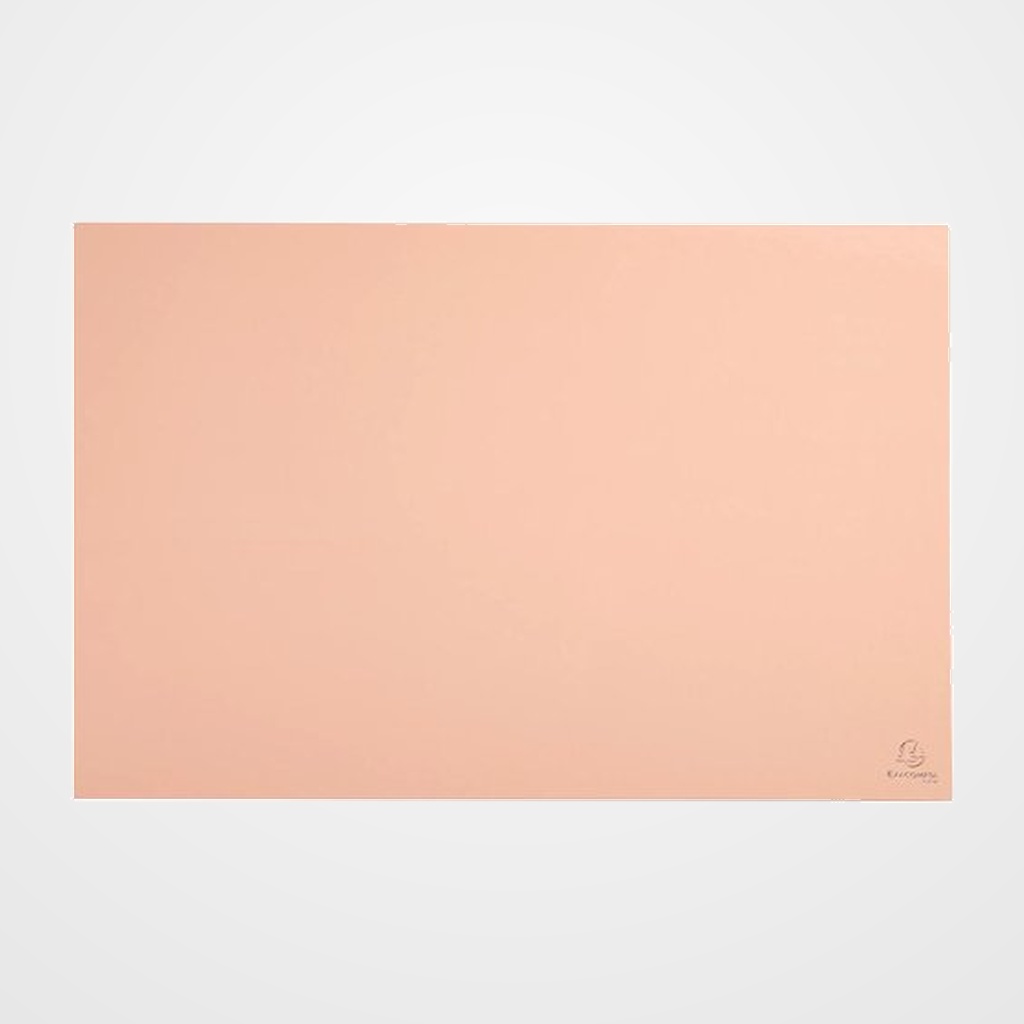 VADE SOBREMESA EXACOMPTA AQUAREL CARTON FORRADO 58x38 cm COMPATIBLE CON RATON CORAL