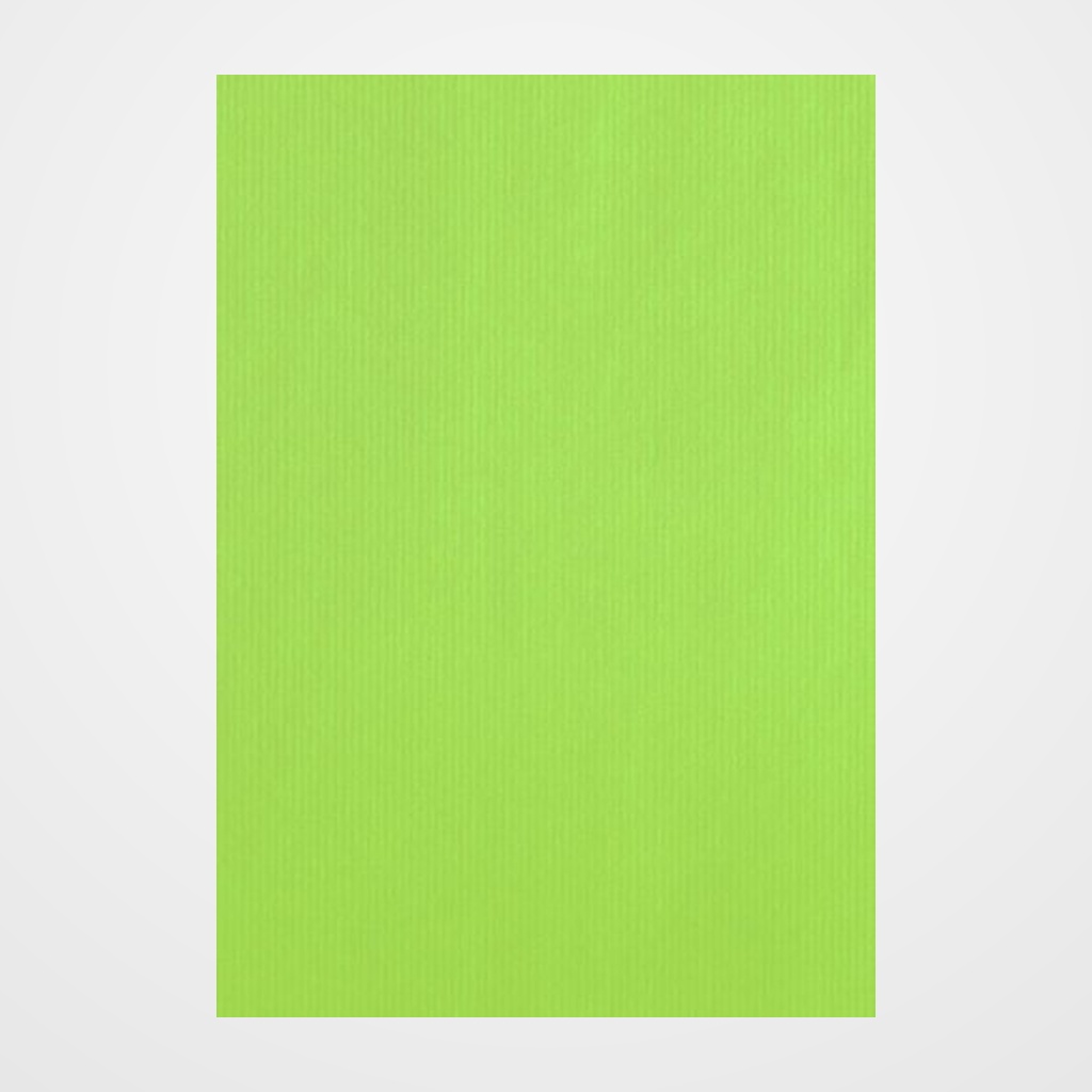 BOLSA de PAPEL TV ASA TROQUELADA CELULOSA 31x47+7 cm PISTACHO PAQUETE de 25