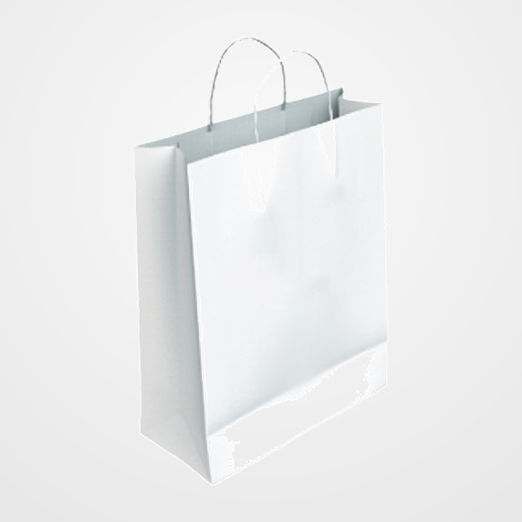 BOLSA de PAPEL ANDINA KRAFT BLANCO 18x24x8 cm BLANCO PAQUETE de 50