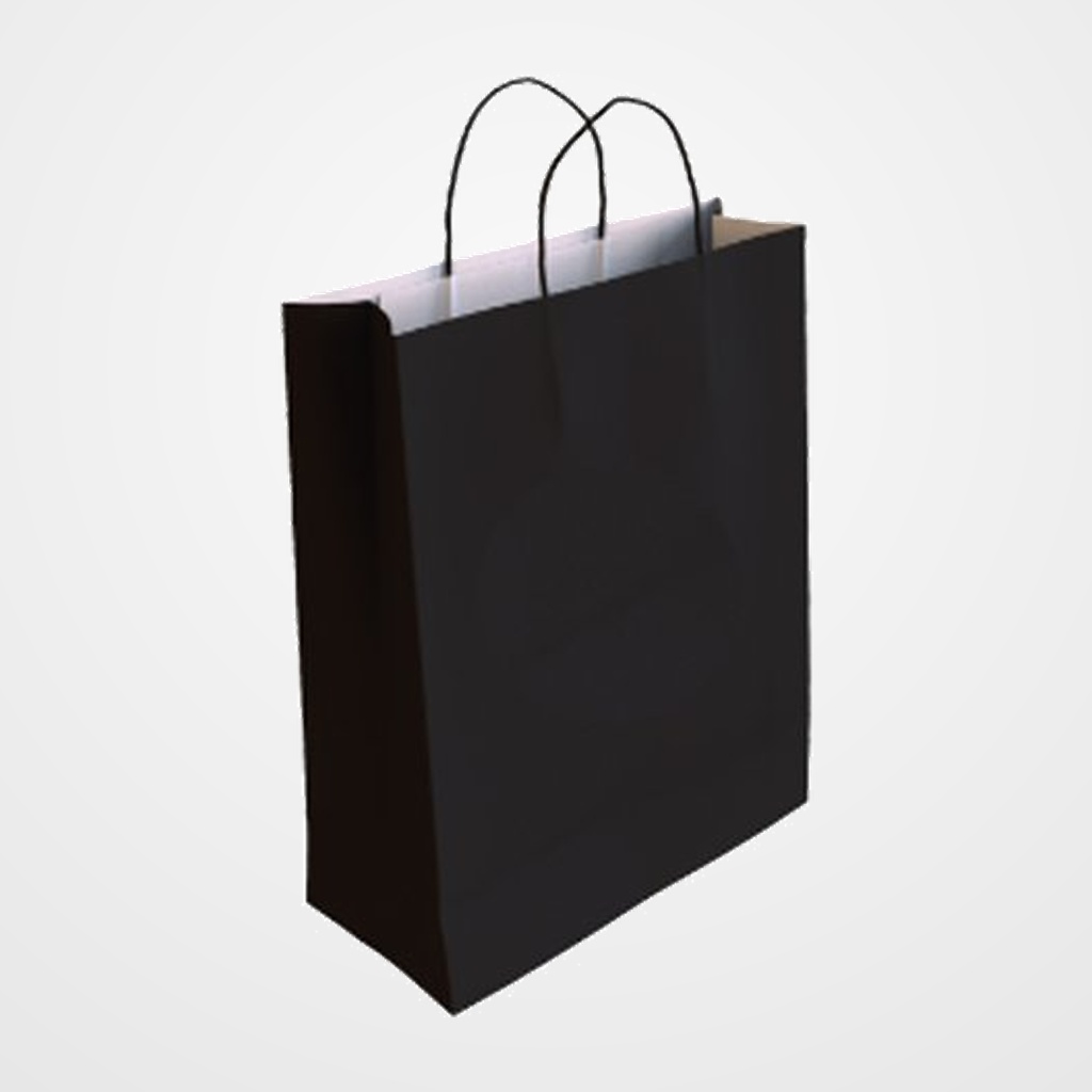 BOLSA de PAPEL ANDINA KRAFT BLANCO 18x24x8 cm NEGRO PAQUETE de 50