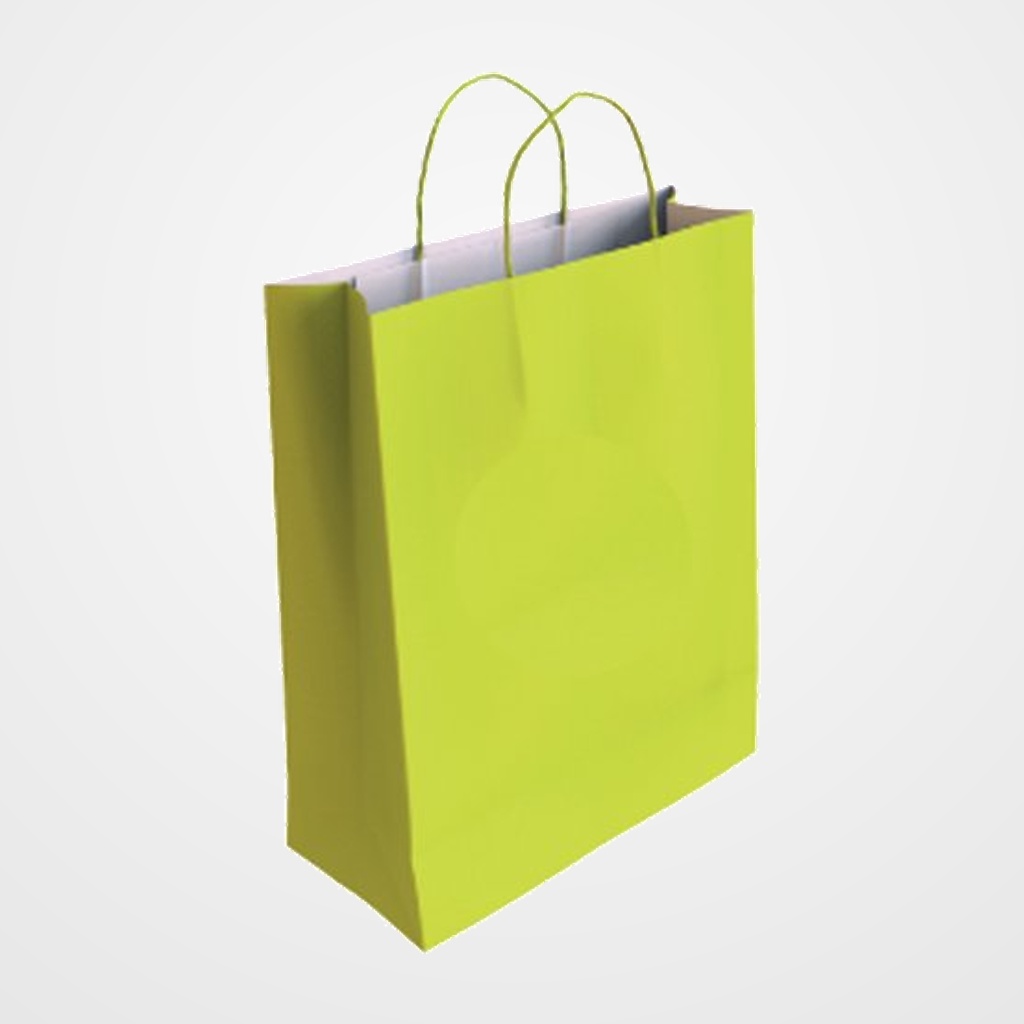 BOLSA de PAPEL ANDINA KRAFT BLANCO 18x24x8 cm PISTACHO PAQUETE de 50