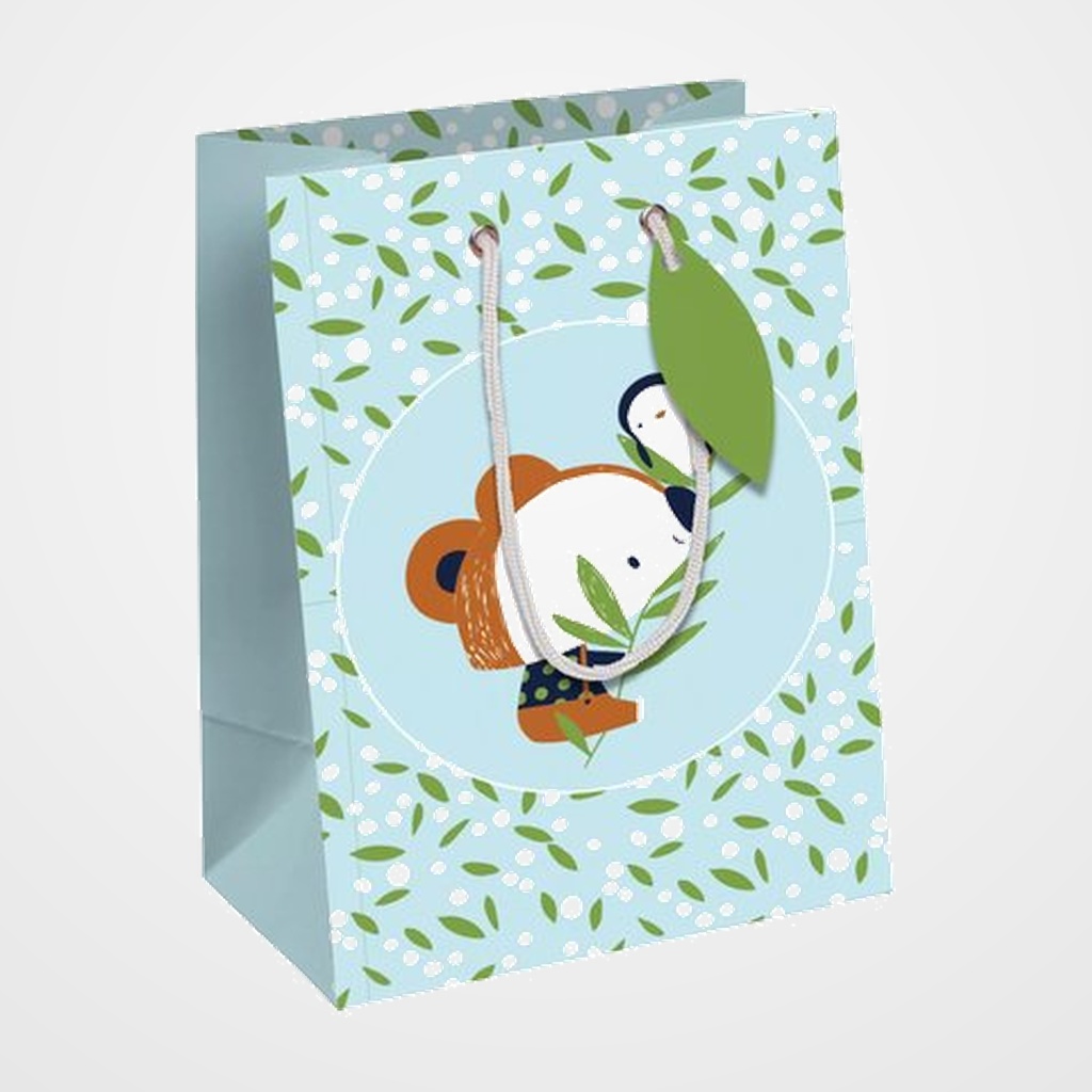 BOLSA de PAPEL CLAIREFONTAINE EXCELLIA DECORADO C/ASAS 25x22x10cm COLEGAS PACK DE 6