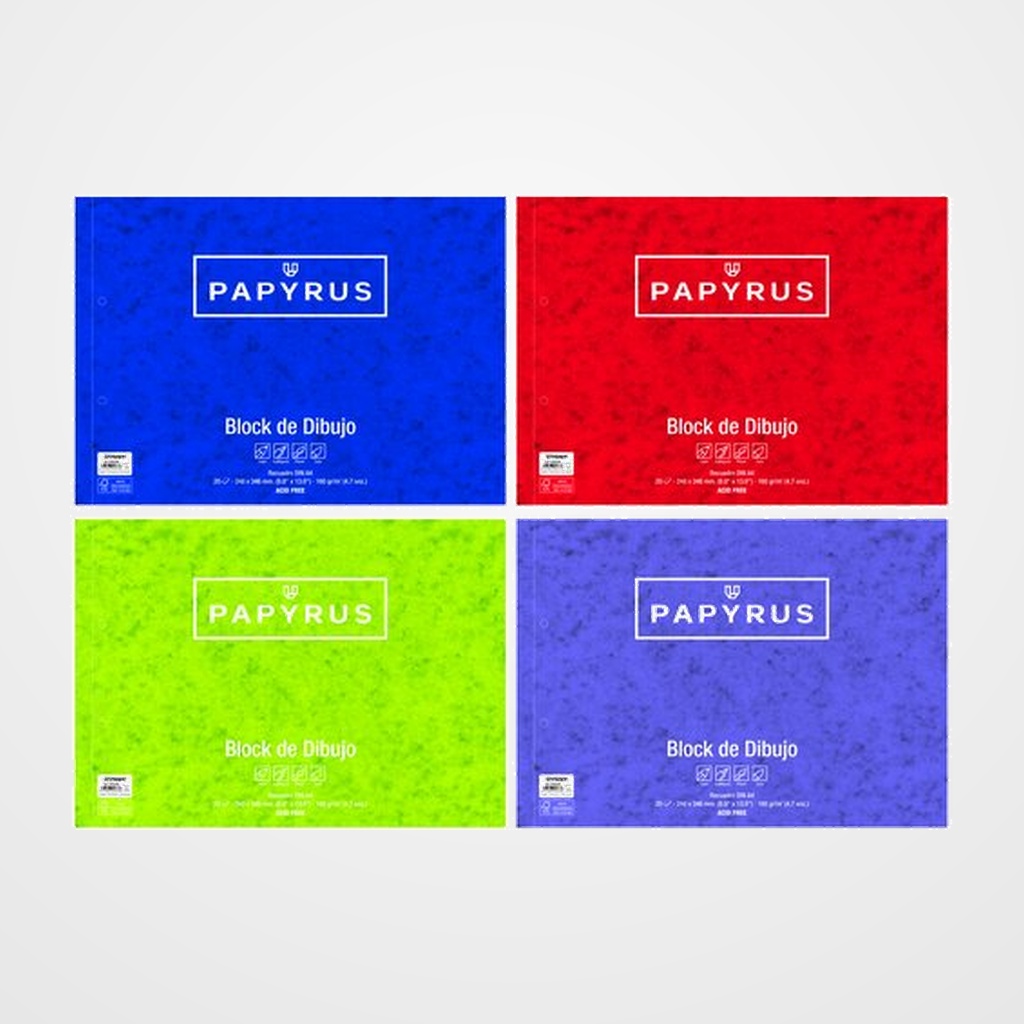 BLOC DE DIBUJO PAPYRUS CON ESPIRAL con RECUADRO 2 TALADROS Fº PROLONGADO 160g. 20h