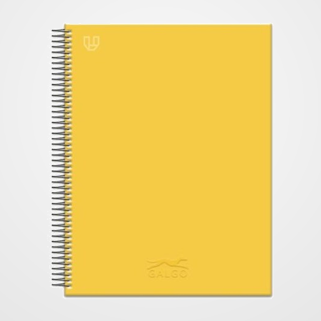 BLOC GALGO micro.tapa EXTRA A4+ 100h CUADRIC.5x5 100g 5 COL. BANDA AMARILLO