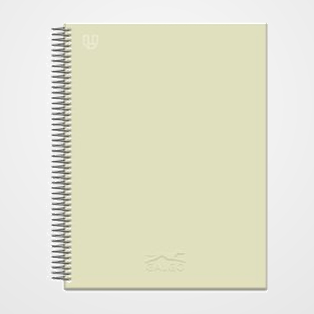 BLOC GALGO micro.tapa EXTRA A4+ 100h LISO 100g 5 COL. BANDA VERDE CLARO