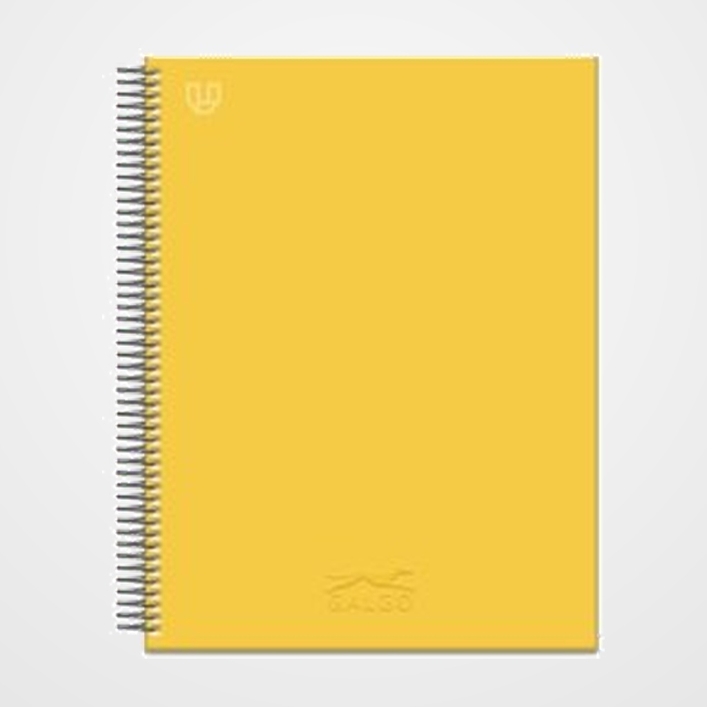 BLOC GALGO micro.tapa EXTRA A4+ 80h CUADRIC.5x5 100g 1 COL. BANDA AMARILLO