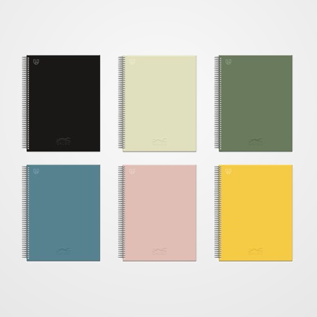 BLOC GALGO micro.tapa EXTRA A4+ 80h LISO 100g 1 COL. BANDA SURTIDO