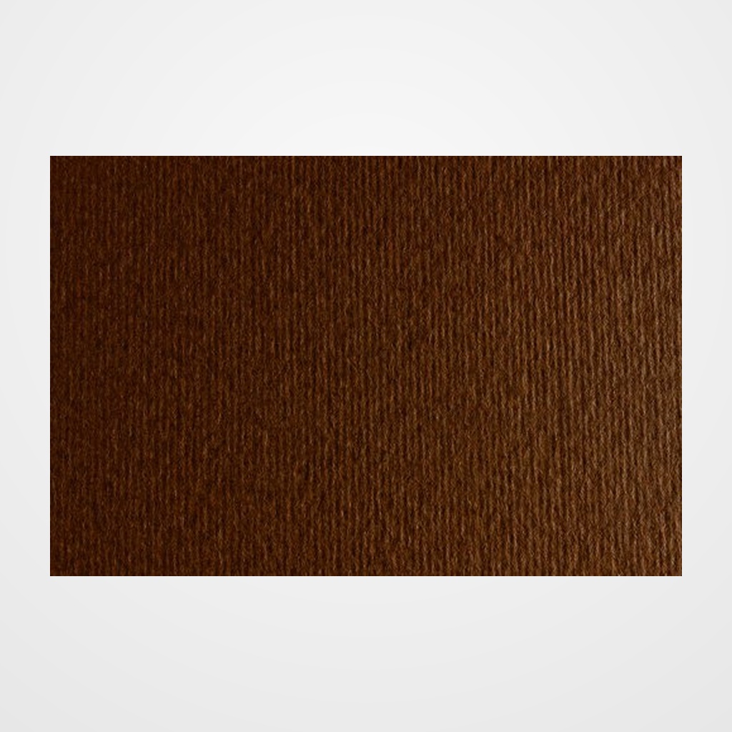 CARTULINA 50x70 cm FABRIANO 220g LISO/RUGOSO MARRON (MARRONE) PAQUETE de 20