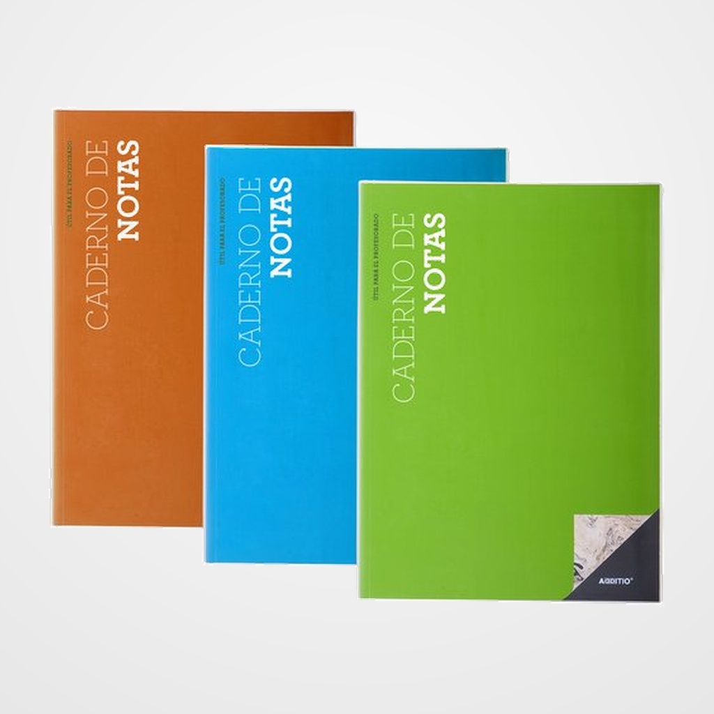 CUADERNO PROFESOR ADDITIO NOTAS A4 SURTIDO (GALLEGO)