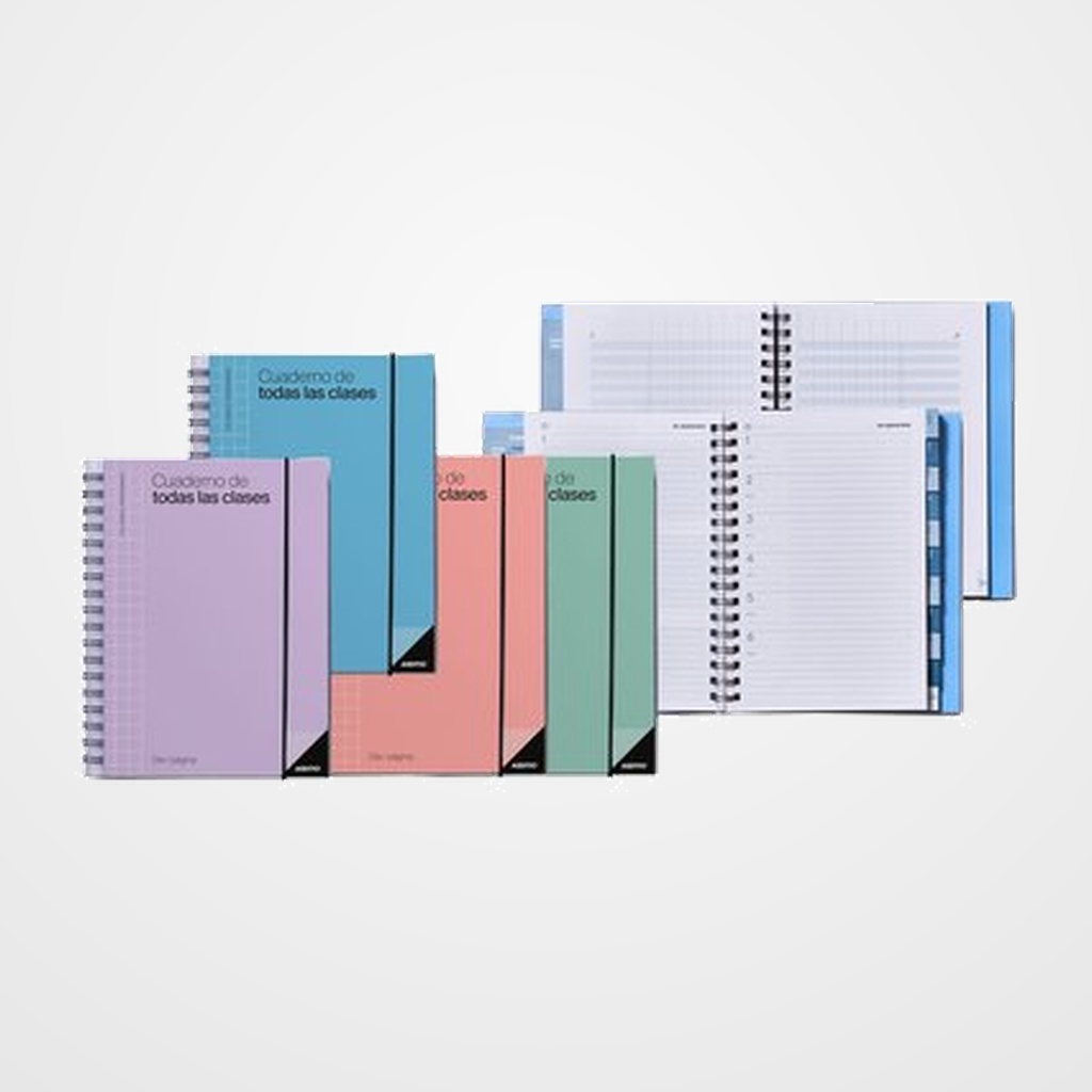 CUADERNO PROFESOR ADDITIO TODAS LAS CLASES 170x240 D/P SURTIDO