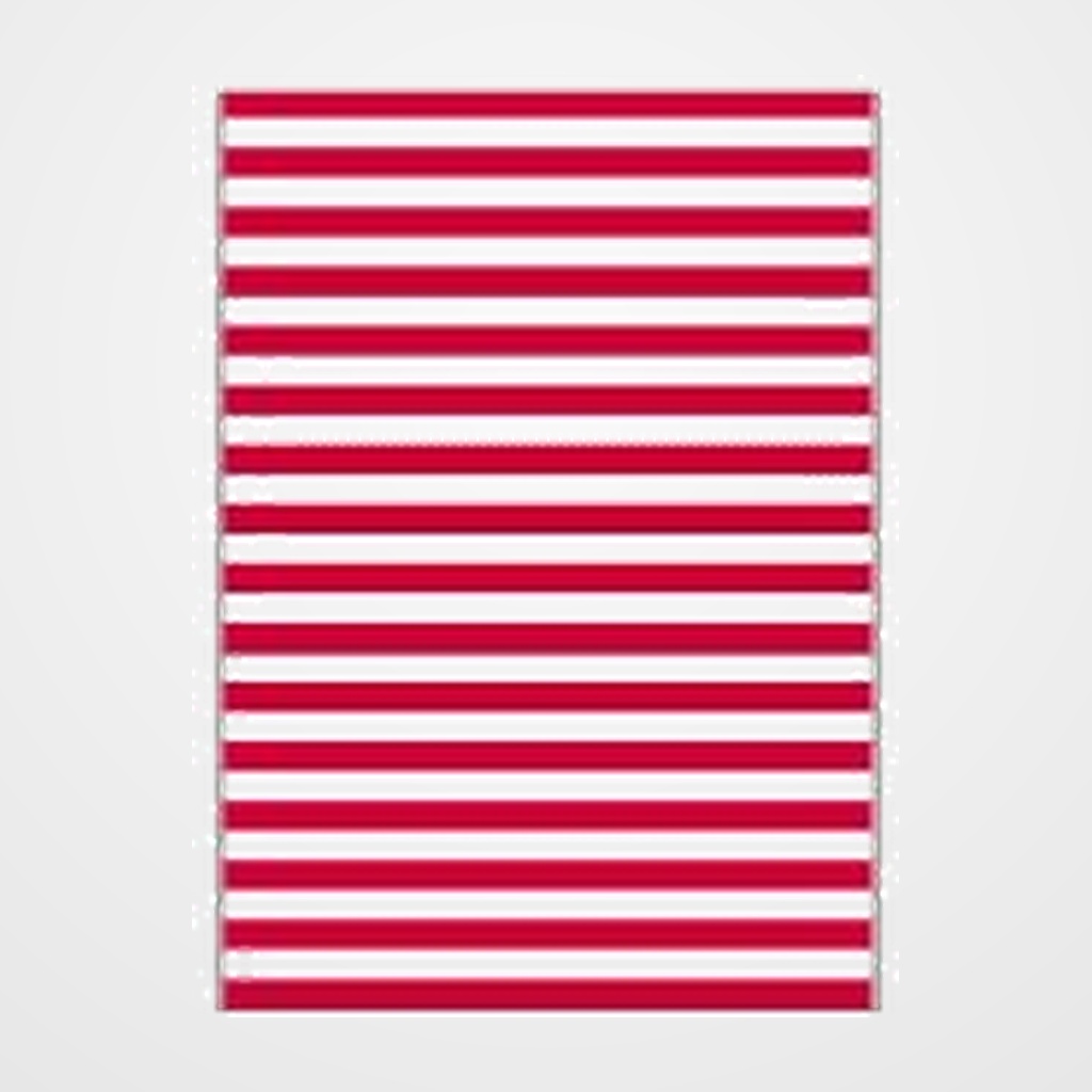 BOLSA DISFRAZ 65x90 cm. IMPRESA BLANCO/ROJO