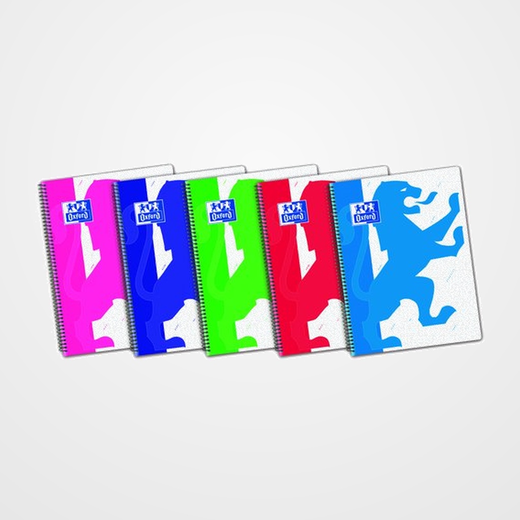 BLOC OXFORD SCHOOL POWERFUL tapa PP Fº 80h CUADRIC.4x4 COL.SUR.(5)