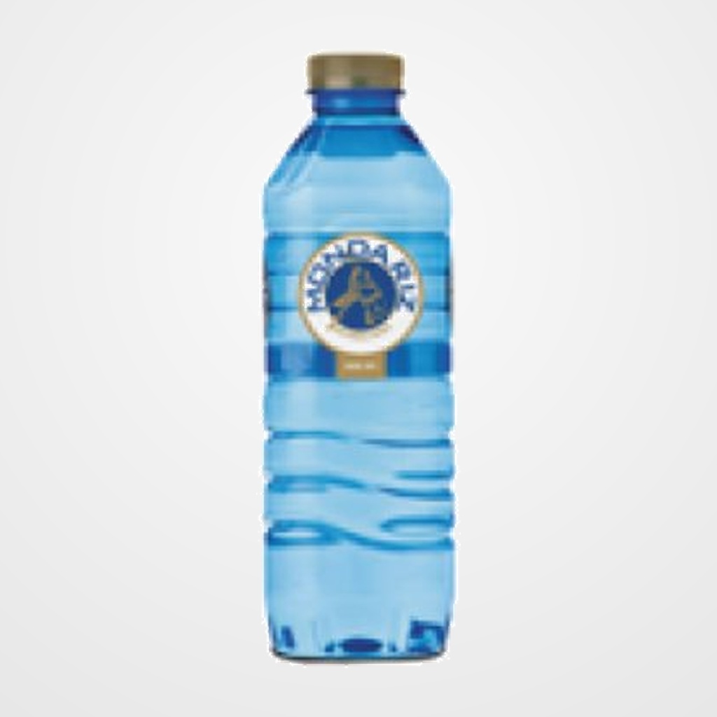 AGUA MINERAL NATURAL MONDARIZ BOTELLA 500ml