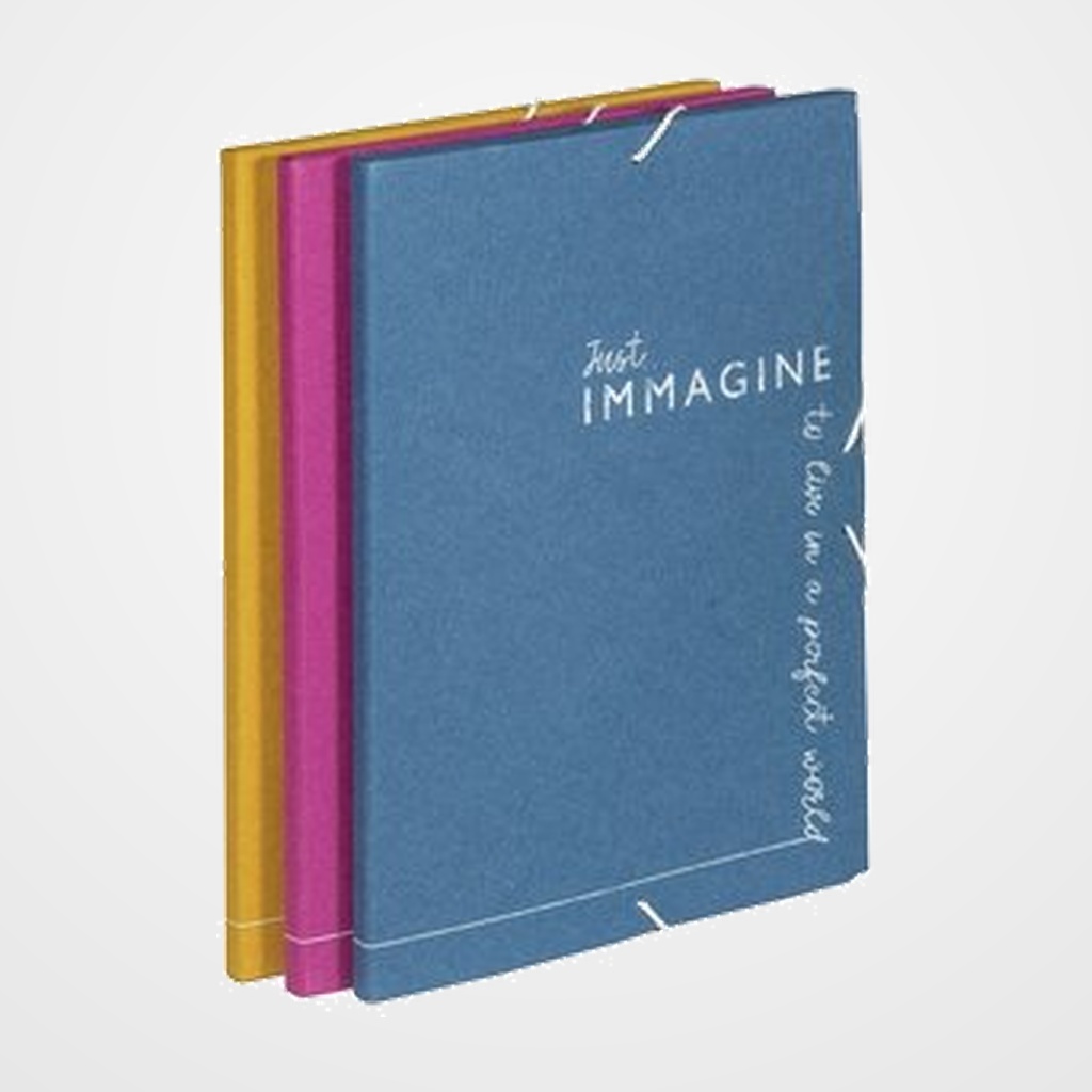 CARPETA de GOMAS y SOLAPAS CARCHIVO IMMAGINE CARTON RECICLADO Fº SURTIDO