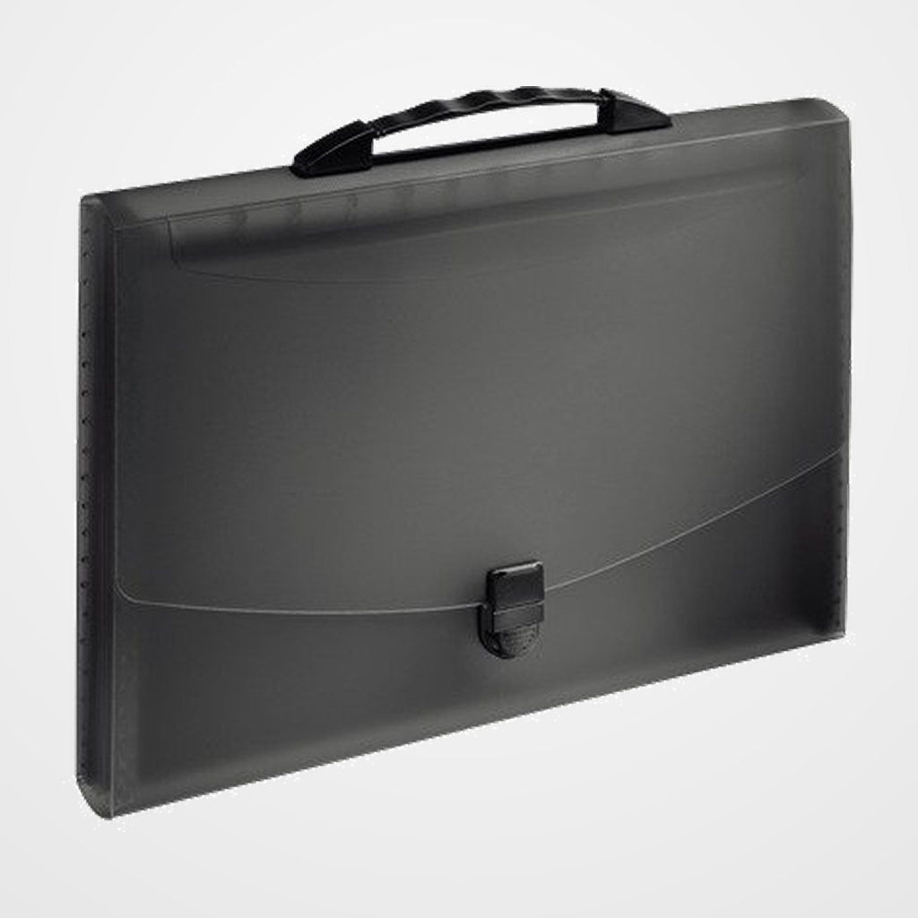 CLASIFICADOR ACORDEON ESSELTE PP VIVIDA 12 SEPARAD.con ASA NEGRO