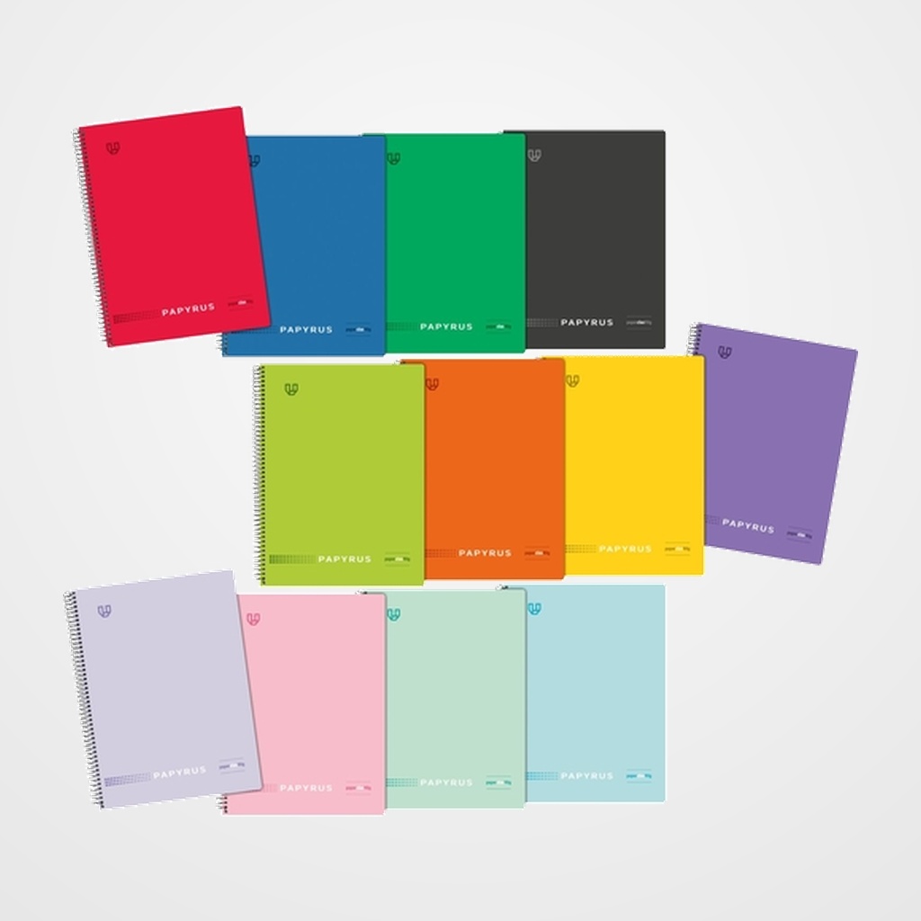 BLOC PAPYRUS UNI5 tapa PP A4+ 120h CUADRIC.5x5 90g SURTIDO VIVOS