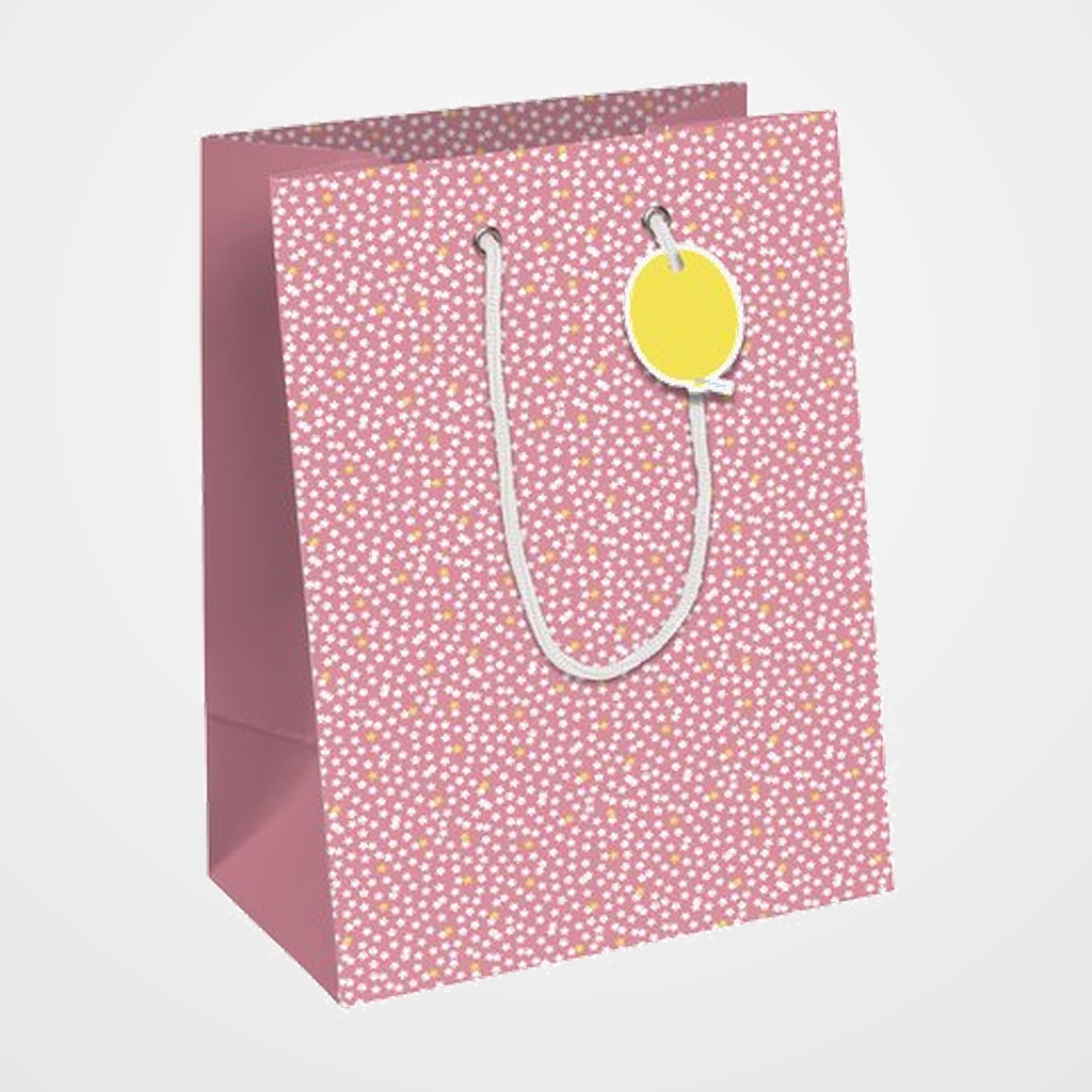 BOLSA de PAPEL CLAIREFONTAINE EXCELLIA MEDIANA 21.5x10.2x25.3cm FAIRY PACK DE 6