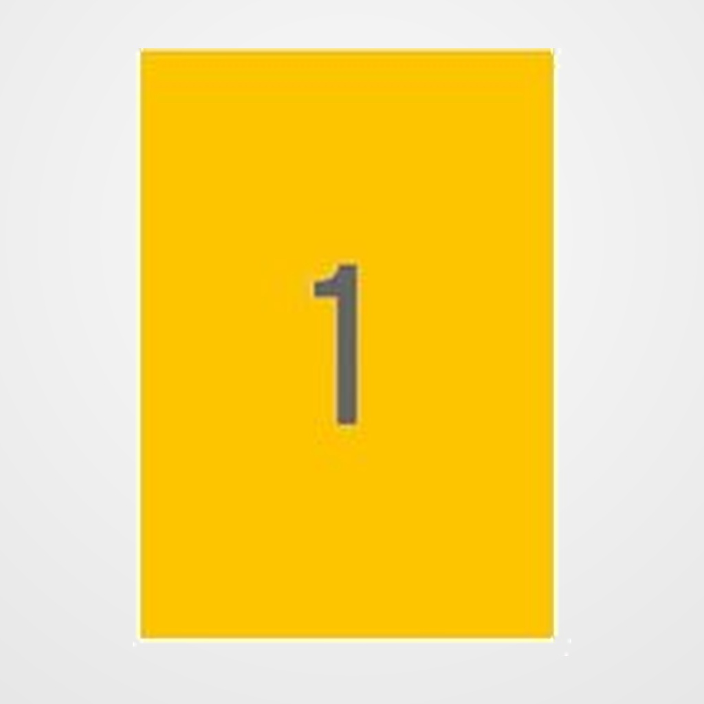ETIQUETAS ADH.IMPR.APLI A4 FLUOR NARANJA LS-CP C.RECTOS CAJA 100h 210x297 mm 100 uds.(11748)