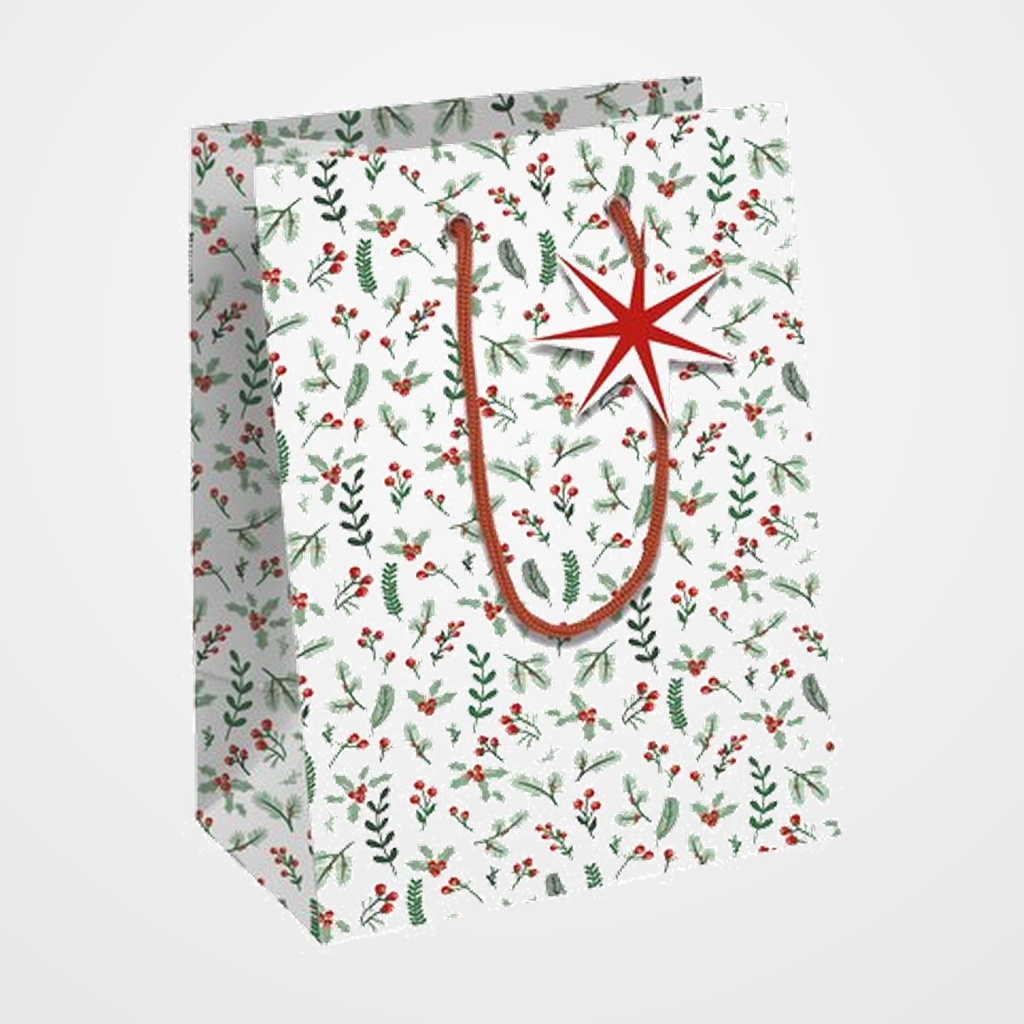 BOLSA de PAPEL CLAIREFONTAINE KRAFT DECORADO 25x22x10 cm COSI NAVIDAD PACK DE 6