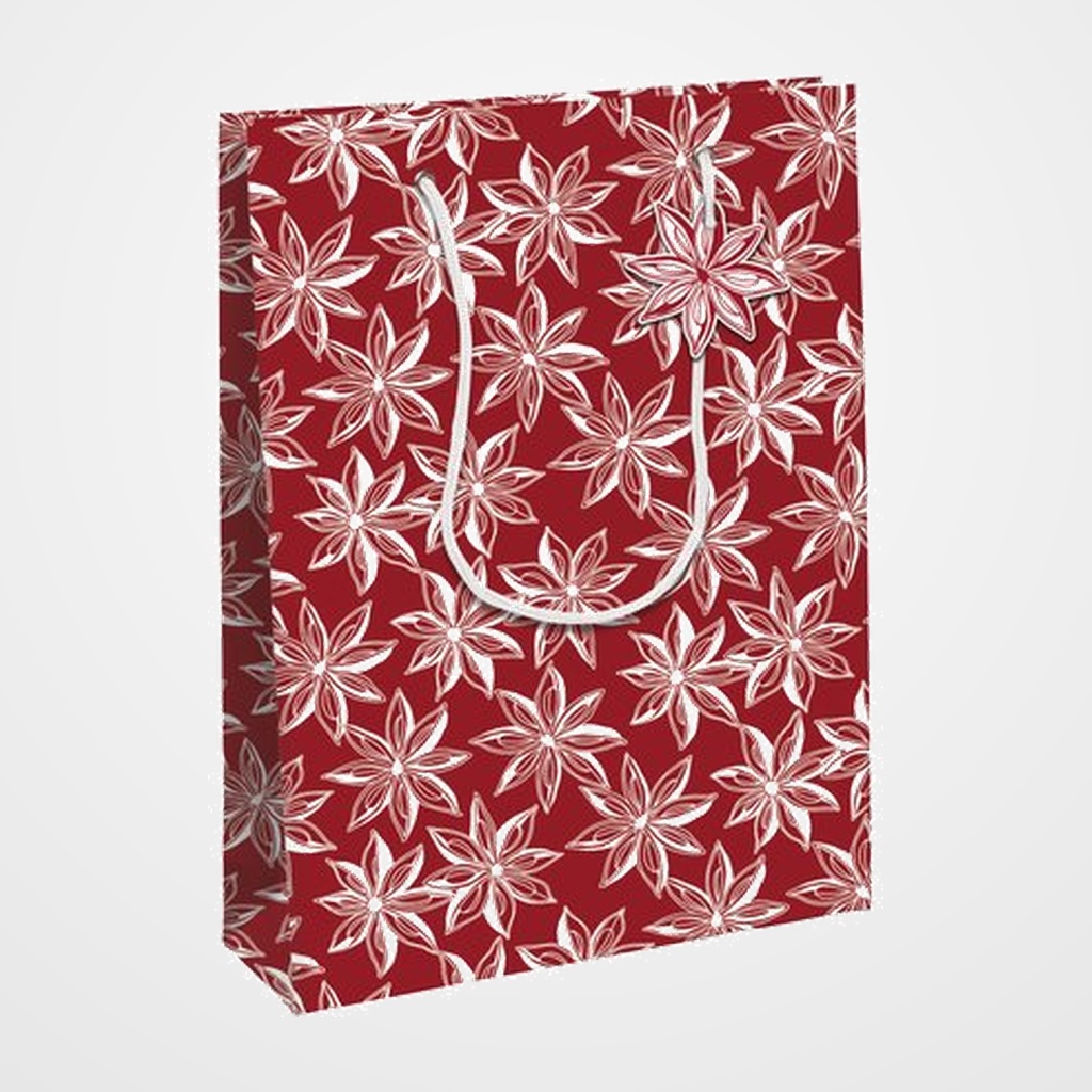 BOLSA de PAPEL CLAIREFONTAINE KRAFT DECORADO 33x26x14 cm CITRICOS NAVIDAD PACK DE 6