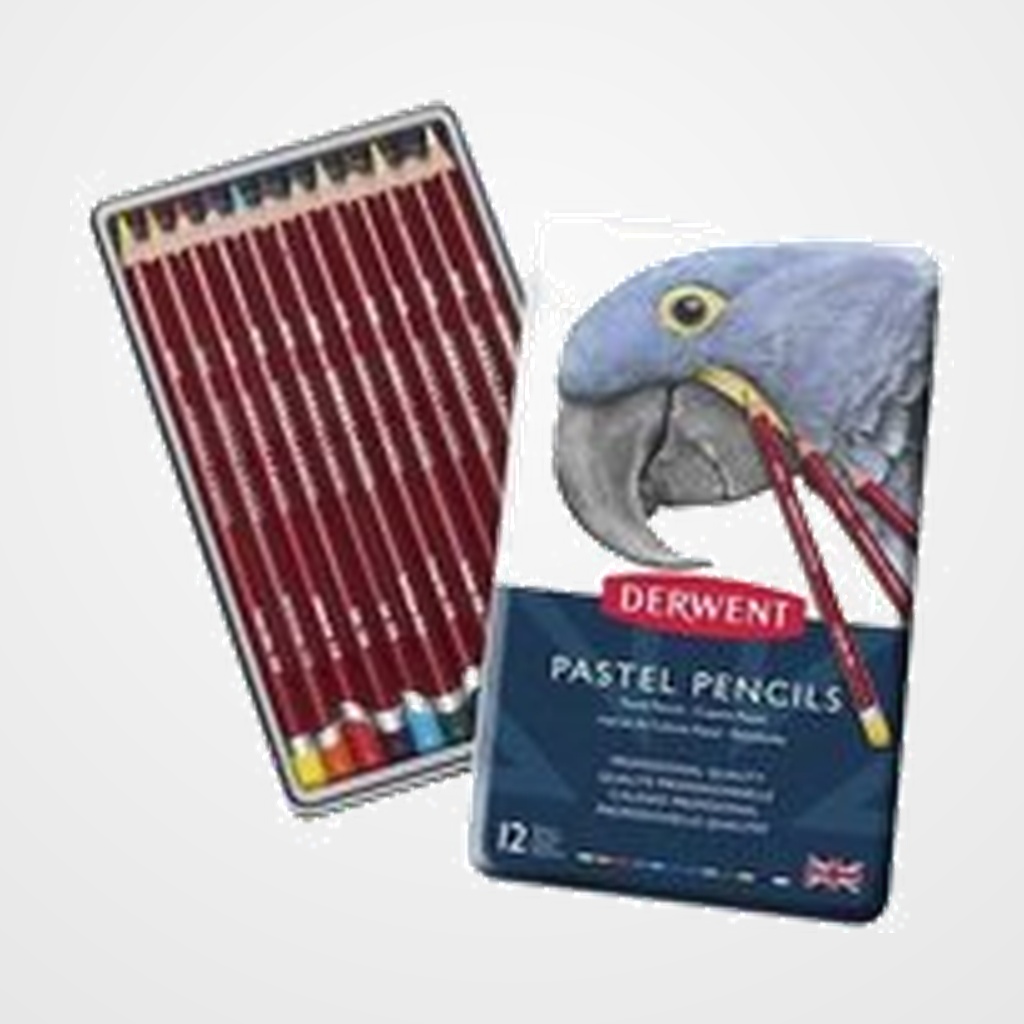 LAPICES de COLORES DERWENT PASTEL CAJA METALICA de 12