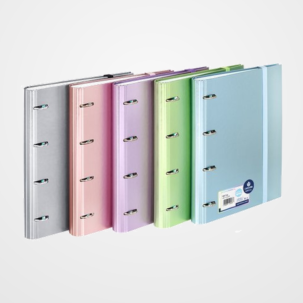 CARPEBLOC CARCHIVO METAL PP Fº 4 an.MIXTAS 35mm con REC. 100 hj. CUADRIC.5x5 SURTIDO (5 col.)