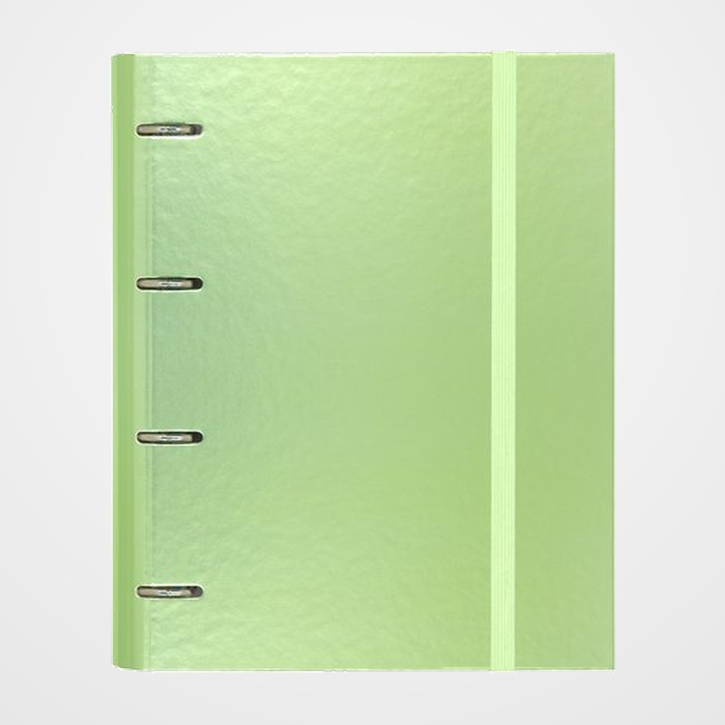 CARPEBLOC CARCHIVO METAL PP Fº 4 an.MIXTAS 35mm con REC. 100 hj. CUADRIC.5x5 VERDE