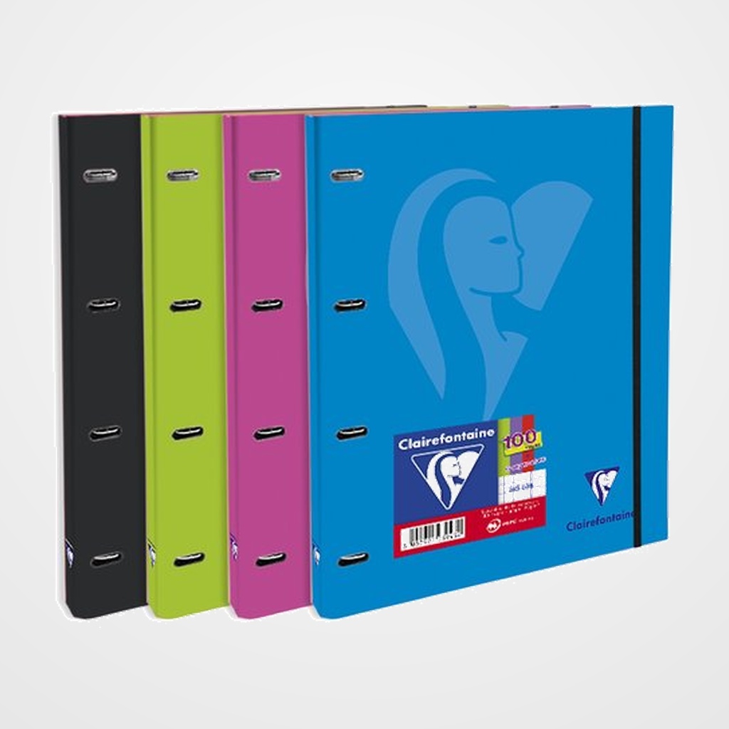 CARPEBLOC CLAIREFONTAINE MIMESYS A4+ 30mm 4an.MIXTAS 100h 5x5 90g COLORES VIVOS