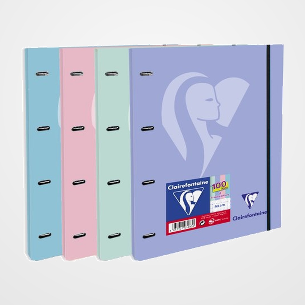 [10405307] CARPEBLOC CLAIREFONTAINE MIMESYS A4+ 4 an. 100h 5x5 90g COLORES PASTEL