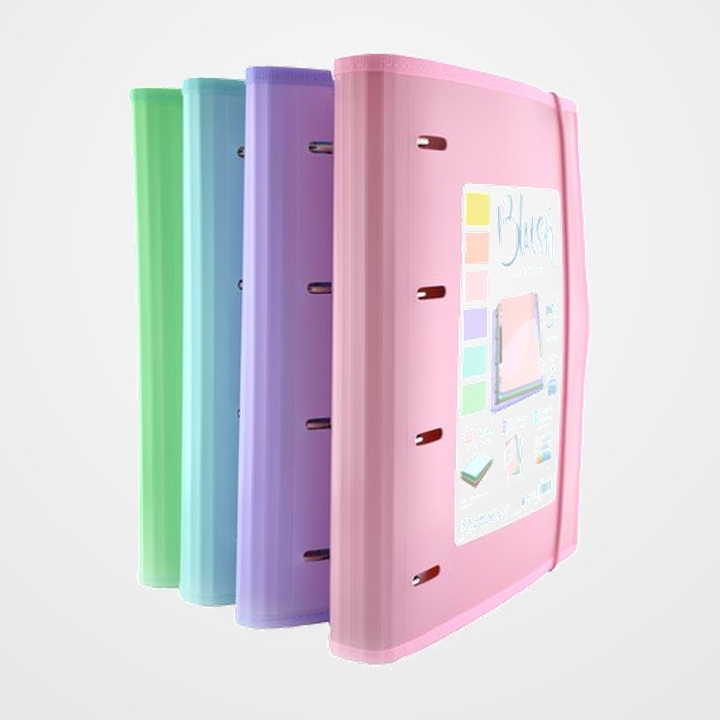 CARPEBLOC OFFICE BOX A4+ BLUSH 4an. MIXTAS, 100hj. CIERRE DE GOMA 10 SEPARADORES SURTIDO (4 col.)