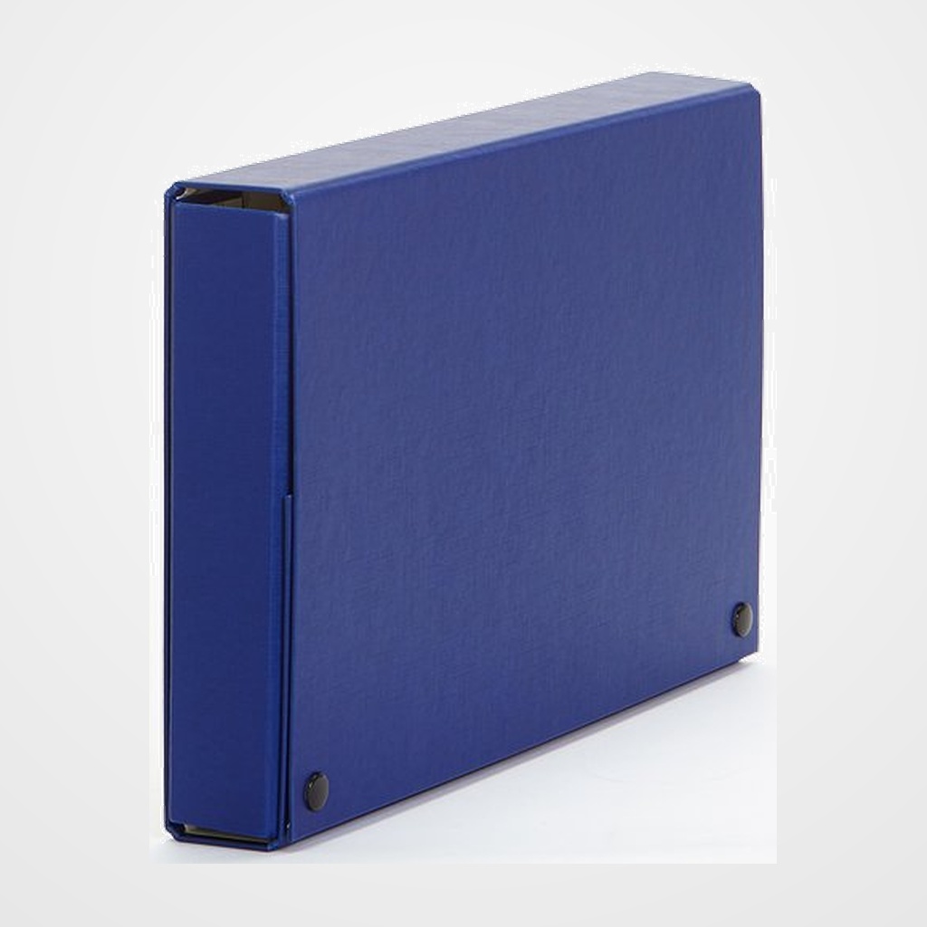 CARPETA de PROYECTOS PARDO CARTON FORRADO PVC A4 BROCHES  9 cm AZUL