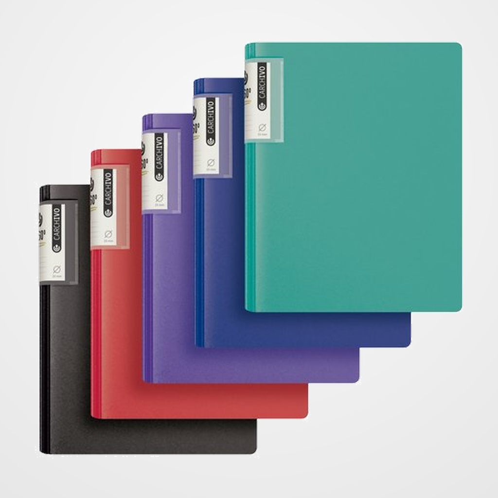 CARPETA de ANILLAS CARCHIVO FOAM STYLE POLIPROPILENO A4 2 an.MIXTA 25mm SURTIDO (5 col.)