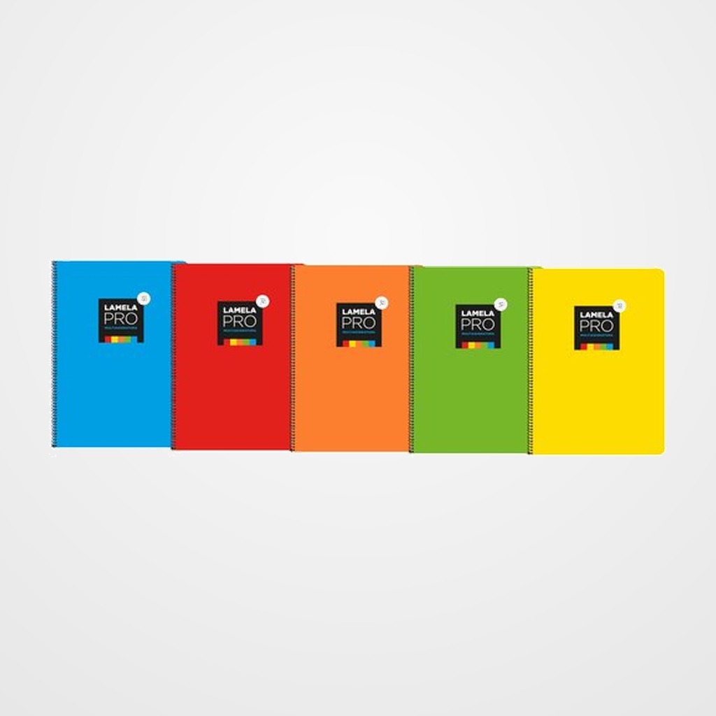 LAMELA BLOC tapa EXTRA DURA Fº 100h CUADROVIA 3 mm SURTIDO (5 col.) (5 colores en banda)