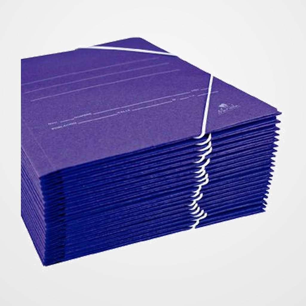 CARPETA de GOMAS SENCILLA CARTON Fº AZUL